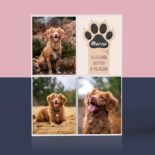 Fotókollázs: A Legjobb Kutya - Akrilüveg