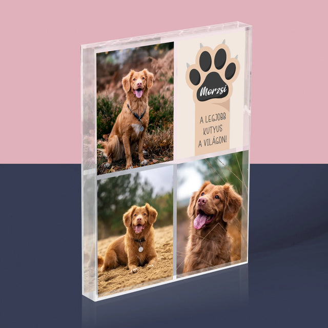 Fotókollázs: A Legjobb Kutya - Akrilüveg