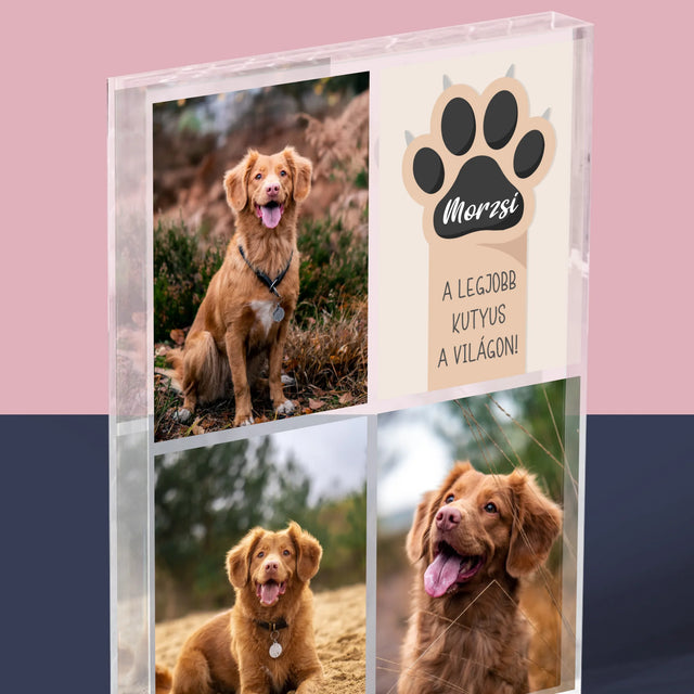 Fotókollázs: A Legjobb Kutya - Akrilüveg