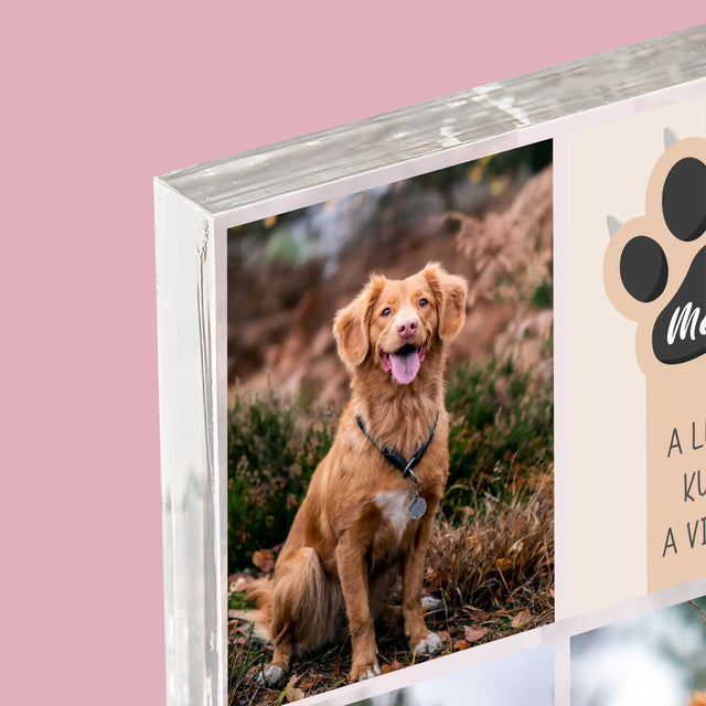 Fotókollázs: A Legjobb Kutya - Akrilüveg