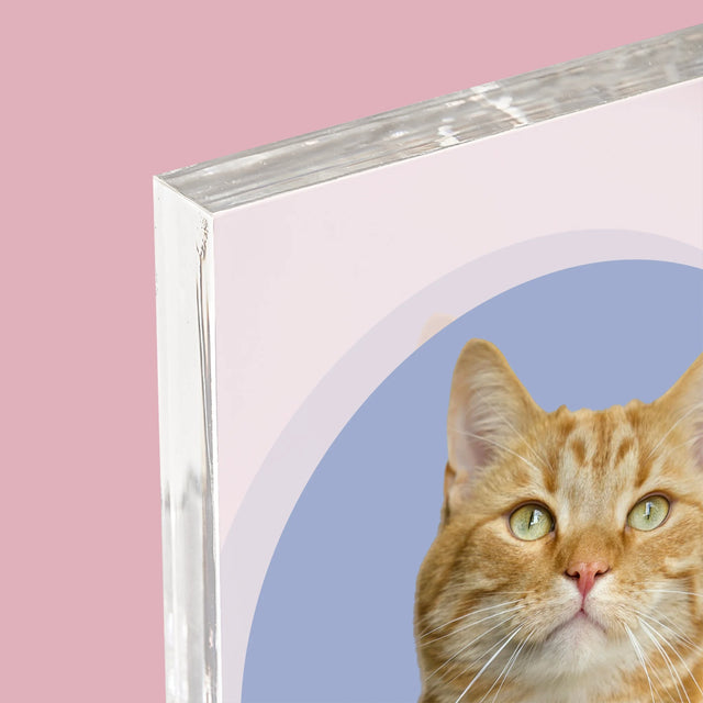 Fénykép: Cicád - Akrilüveg