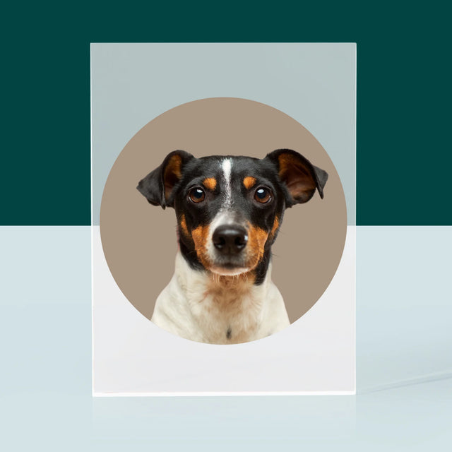 Fénykép: Kutyád - Akrilüveg