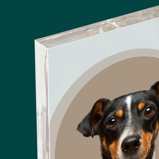 Fénykép: Kutyád - Akrilüveg