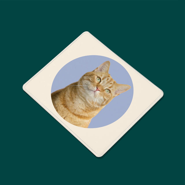 Fénykép: Cicád - Egéralátét