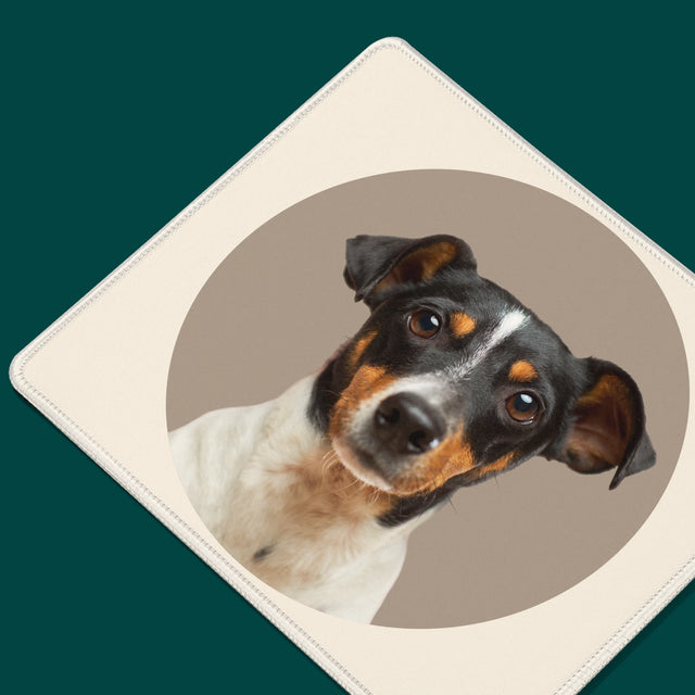 Fénykép: Kutyád - Egéralátét