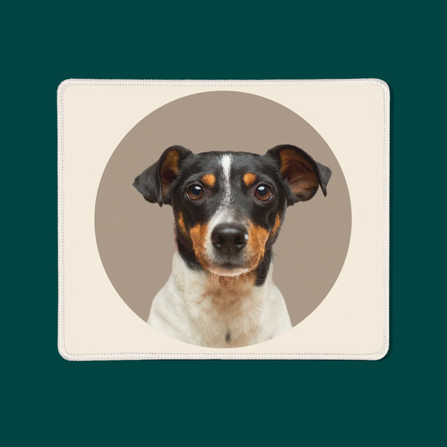 Fénykép: Kutyád - Egéralátét