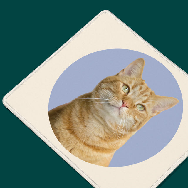 Fénykép: Cicád - Egéralátét