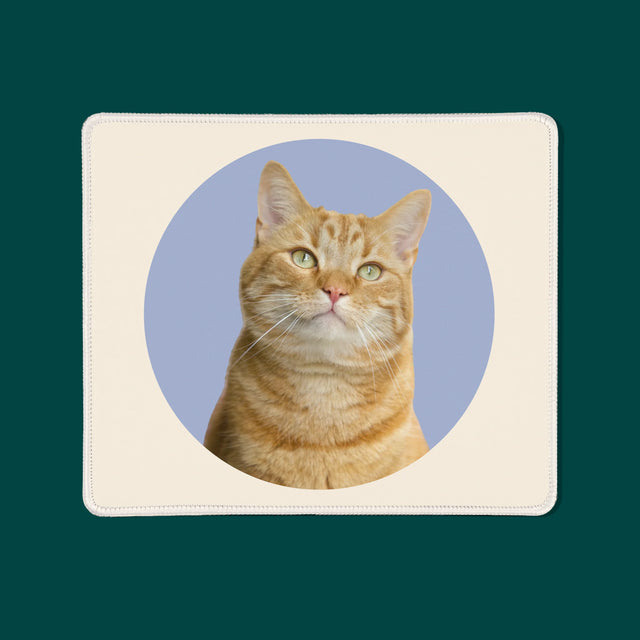 Fénykép: Cicád - Egéralátét