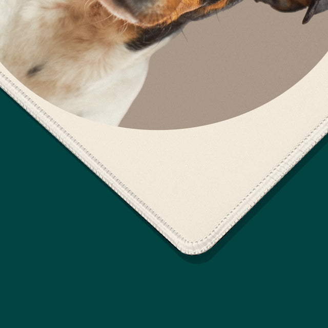 Fénykép: Kutyád - Egéralátét