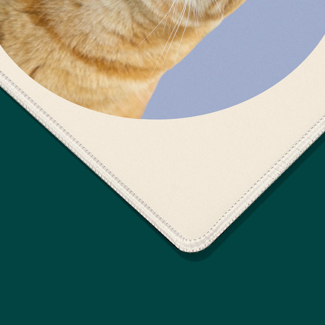 Fénykép: Cicád - Egéralátét