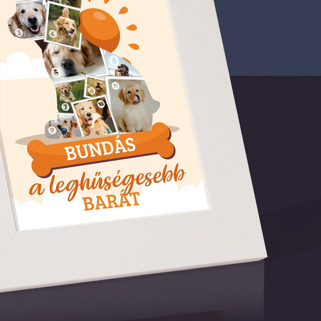 Alakzat Fotókból: Kutya - Fotókeret