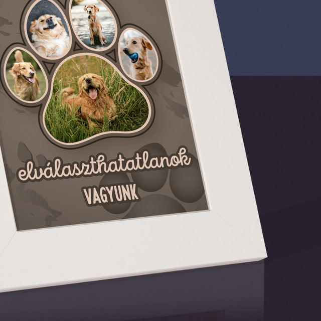 Alakzat Fotókból: Mancsnyom - Fotókeret