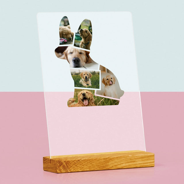 Fotó És Felirat: Netflix Plakát - Akrilüvegre Nyomtatott Kép