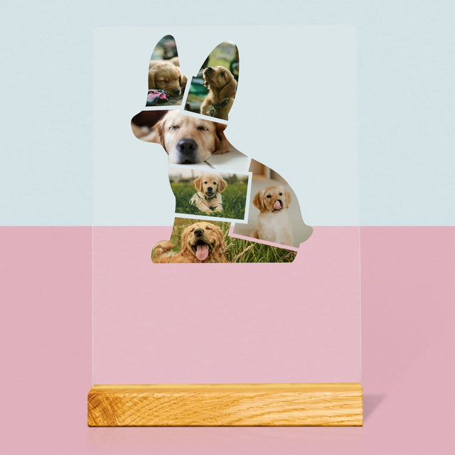 Fotó És Felirat: Netflix Plakát - Akrilüvegre Nyomtatott Kép