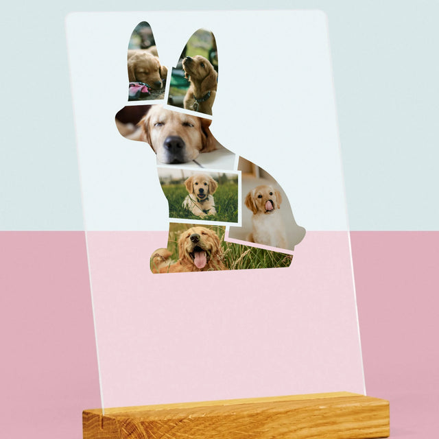 Fotó És Felirat: Netflix Plakát - Akrilüvegre Nyomtatott Kép