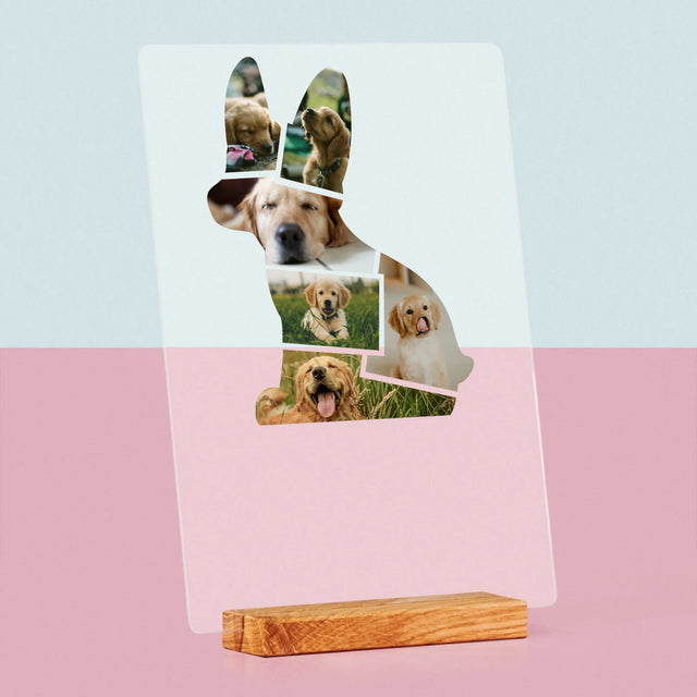 Fotó És Felirat: Netflix Plakát - Akrilüvegre Nyomtatott Kép