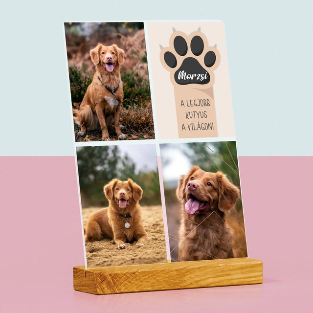 Fotókollázs: A Legjobb Kutya - Akrilüvegre Nyomtatott Kép
