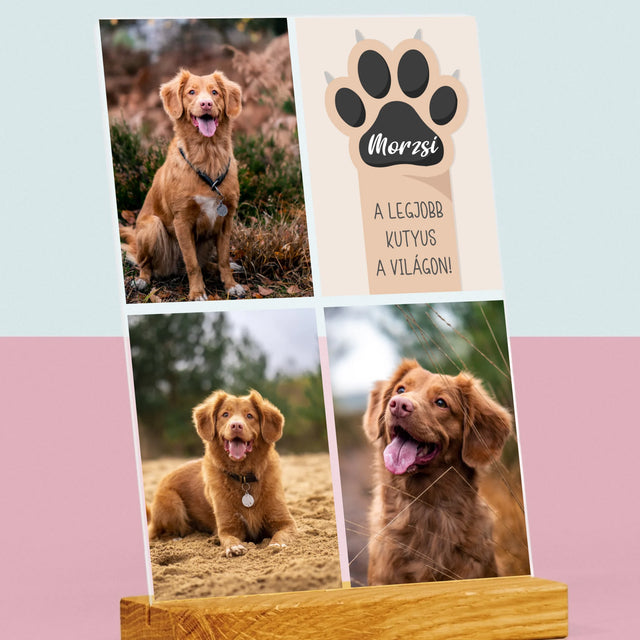 Fotókollázs: A Legjobb Kutya - Akrilüvegre Nyomtatott Kép