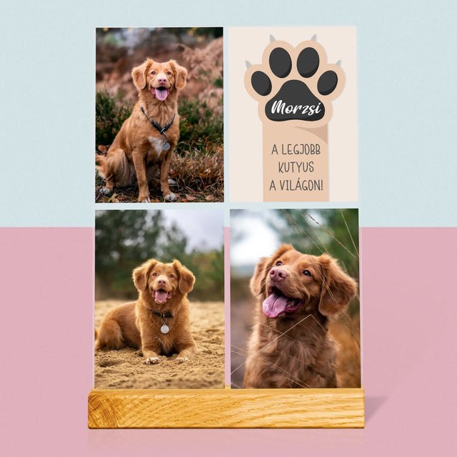 Fotókollázs: A Legjobb Kutya - Akrilüvegre Nyomtatott Kép