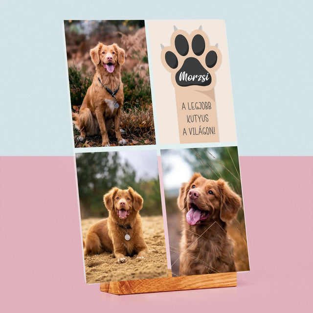 Fotókollázs: A Legjobb Kutya - Akrilüvegre Nyomtatott Kép