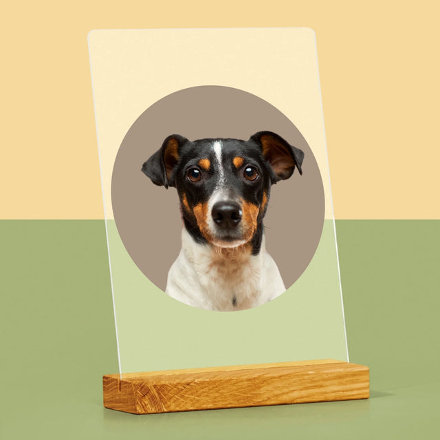 Fénykép: Kutyád - Akrilüvegre Nyomtatott Kép