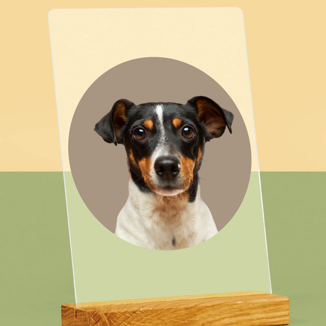 Fénykép: Kutyád - Akrilüvegre Nyomtatott Kép