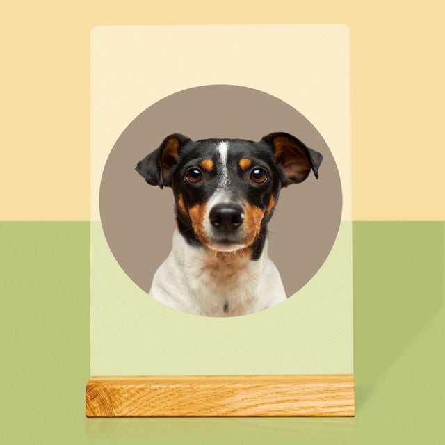 Fénykép: Kutyád - Akrilüvegre Nyomtatott Kép