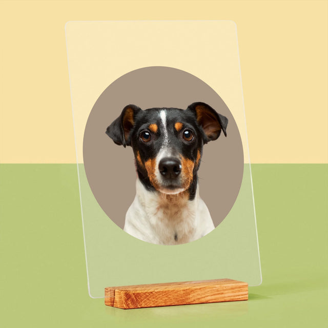 Fénykép: Kutyád - Akrilüvegre Nyomtatott Kép