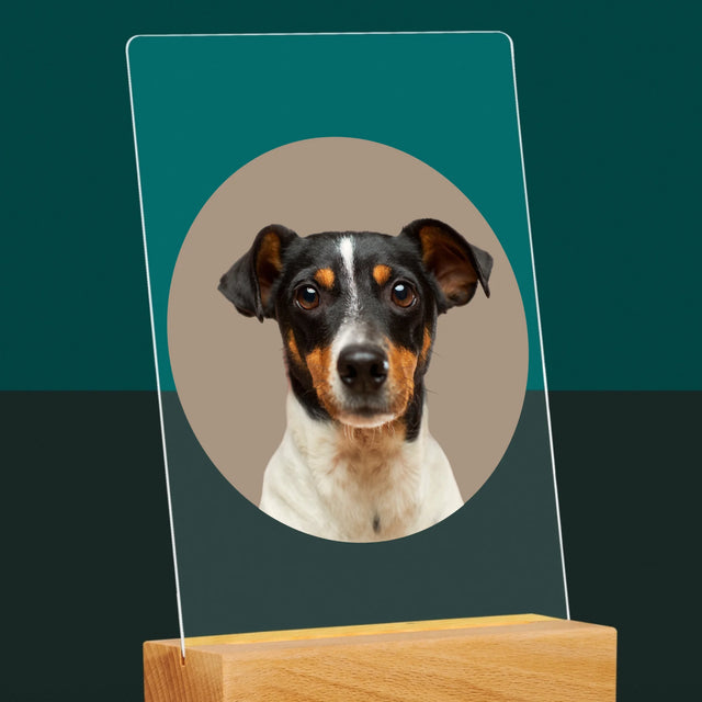 Fénykép: Kutyád - Akrilüvegre Nyomtatott Kép