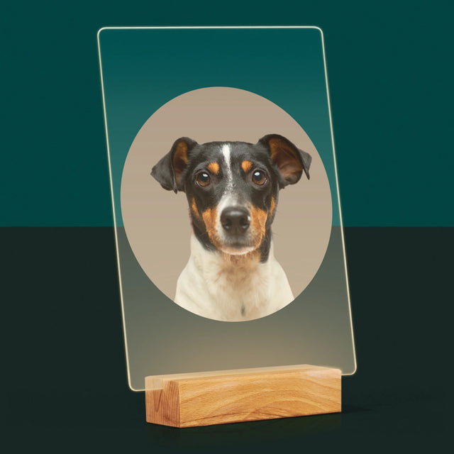 Fénykép: Kutyád - Akrilüvegre Nyomtatott Kép