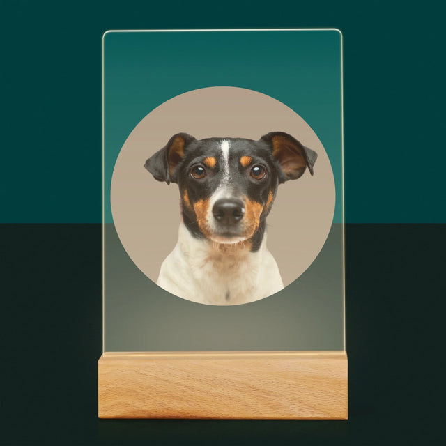 Fénykép: Kutyád - Akrilüvegre Nyomtatott Kép