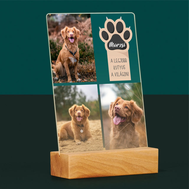Fotókollázs: A Legjobb Kutya - Akrilüvegre Nyomtatott Kép