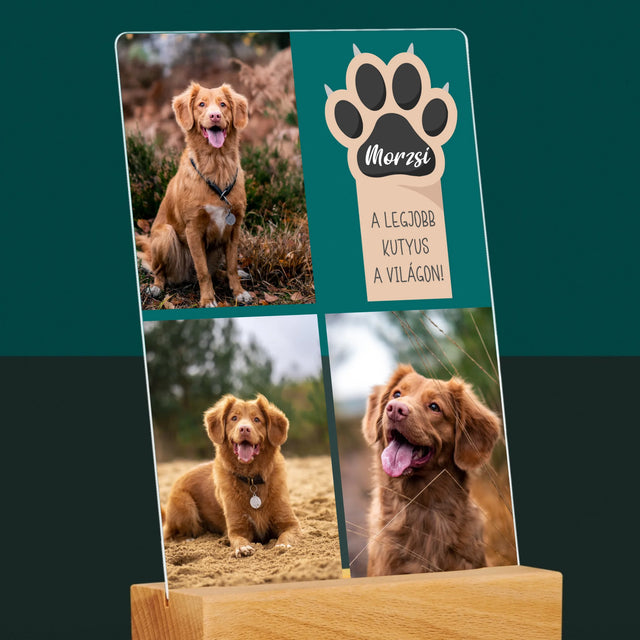 Fotókollázs: A Legjobb Kutya - Akrilüvegre Nyomtatott Kép