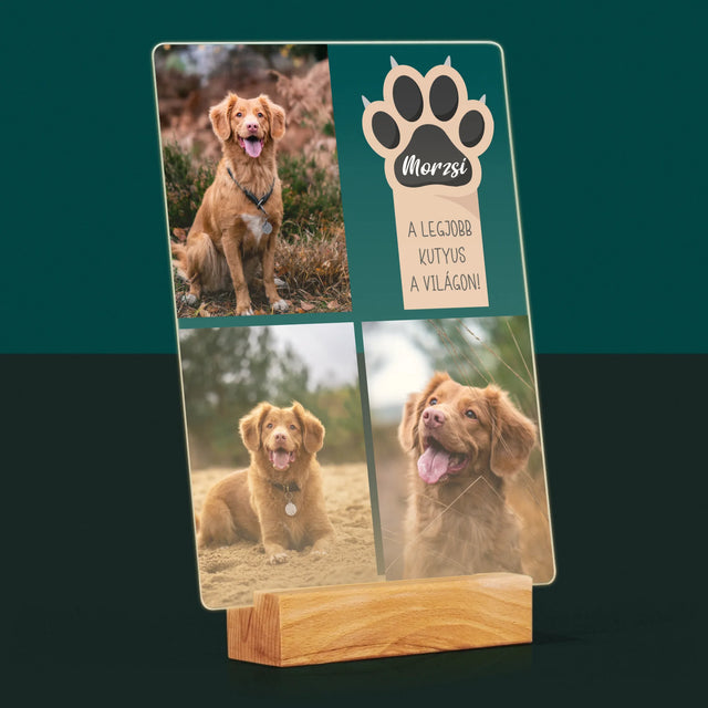 Fotókollázs: A Legjobb Kutya - Akrilüvegre Nyomtatott Kép