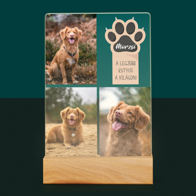 Fotókollázs: A Legjobb Kutya - Akrilüvegre Nyomtatott Kép