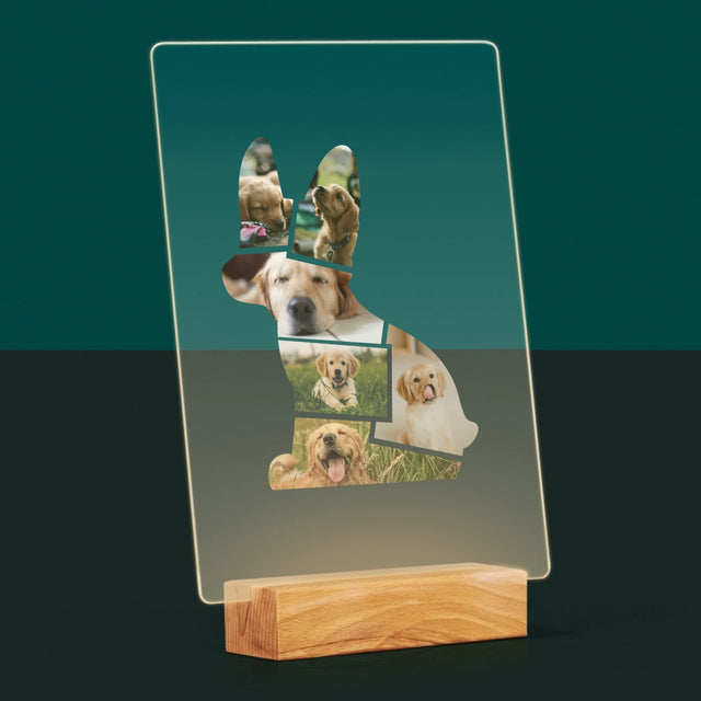 Fotó És Felirat: Netflix Plakát - Akrilüvegre Nyomtatott Kép