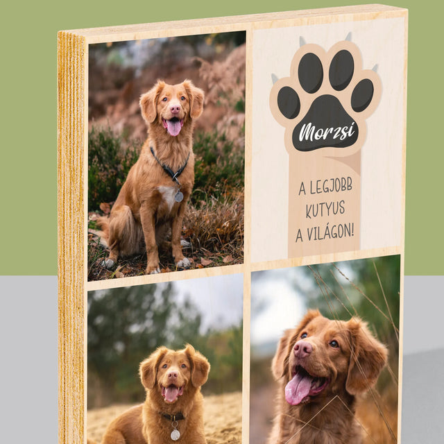 Fotókollázs: A Legjobb Kutya - Nyomtatás Fára