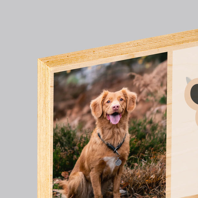 Fotókollázs: A Legjobb Kutya - Nyomtatás Fára