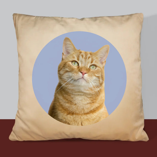 Fénykép: Cicád - Párna