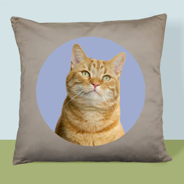 Fénykép: Cicád - Párna