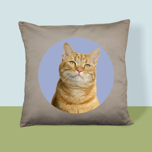 Fénykép: Cicád - Párna