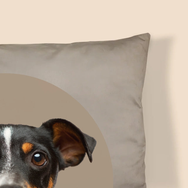 Fénykép: Kutyád - Párna