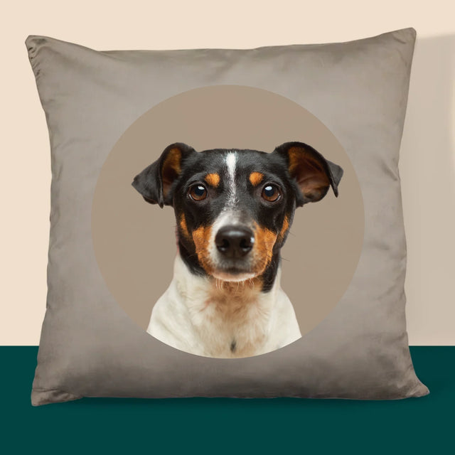Fénykép: Kutyád - Párna