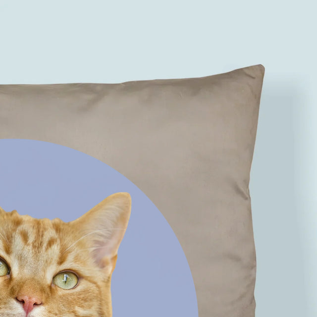 Fénykép: Cicád - Párna