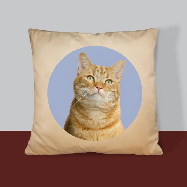 Fénykép: Cicád - Párna