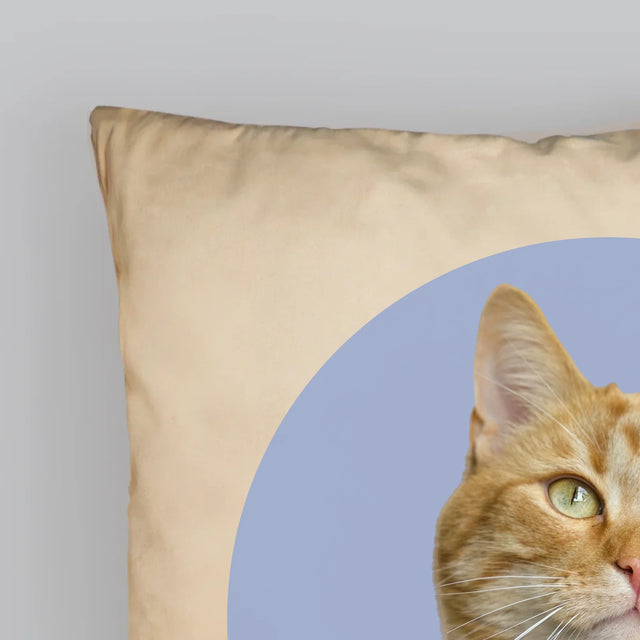 Fénykép: Cicád - Párna