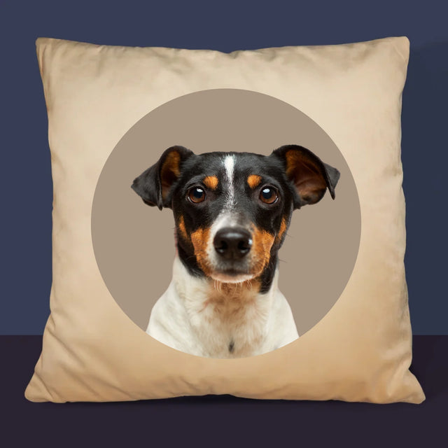 Fénykép: Kutyád - Párna