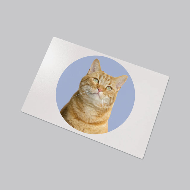 Fénykép: Cicád - Íróasztal Alátét