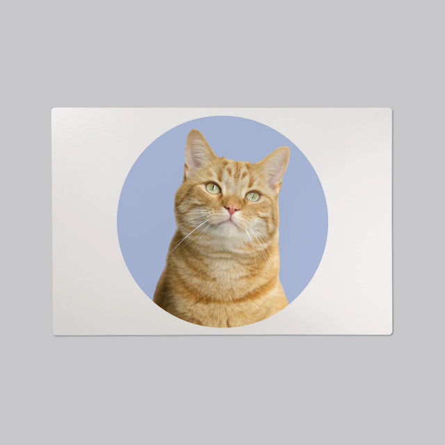 Fénykép: Cicád - Íróasztal Alátét