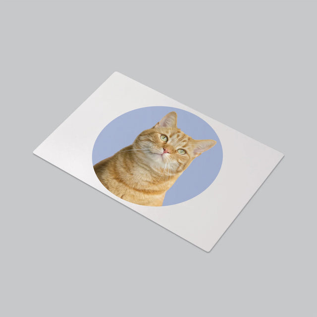 Fénykép: Cicád - Íróasztal Alátét